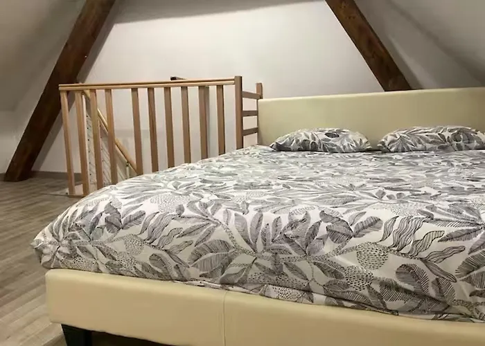 Ღ Le Nid Douai - T2 Proche Centre Ville & Gare Apartment *